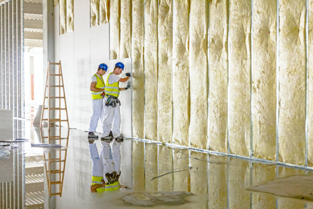 Best Blown-In Insulation  in St Clairsville, OH